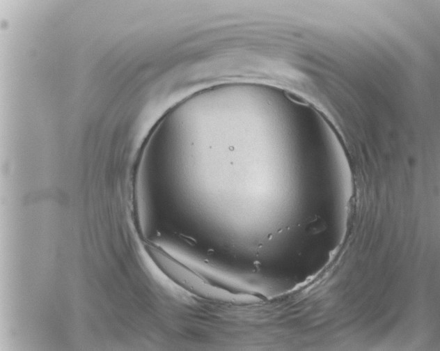 X0000062171531200512121227