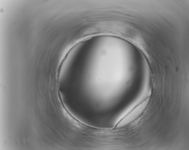 X0000062171532200512121227