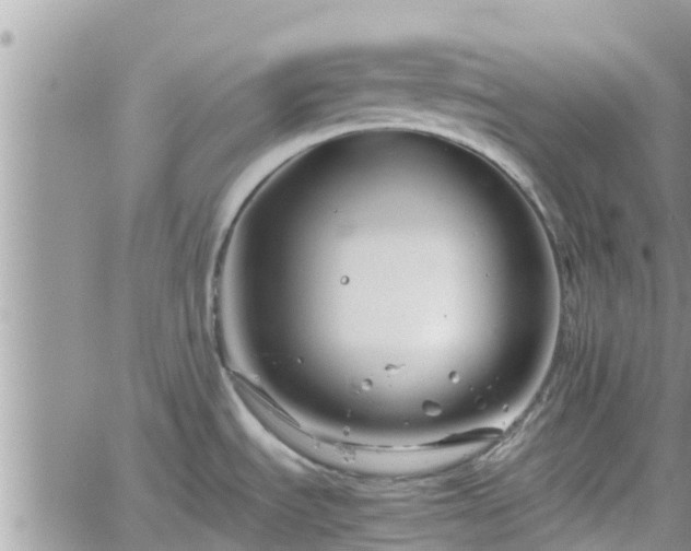 X0000062171535200512121227