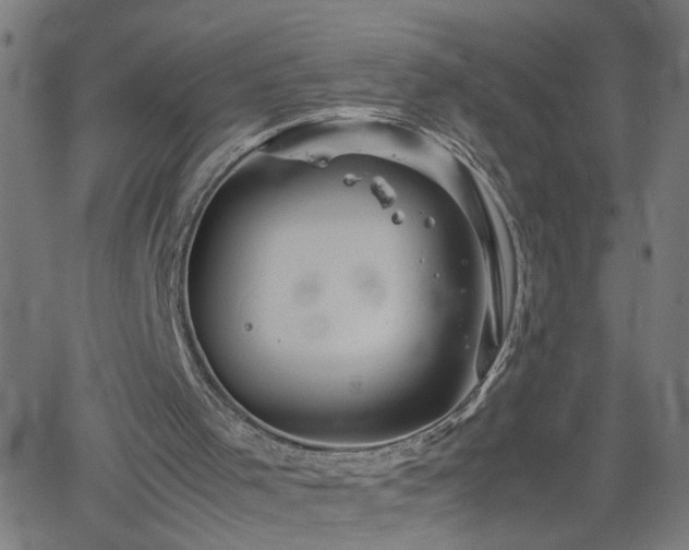 X0000062170001200512161303