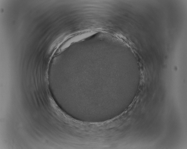 X0000062170002200512161303