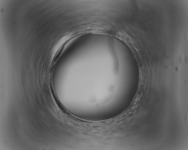 X0000062170003200512161303