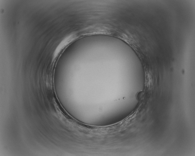 X0000062170004200512161303