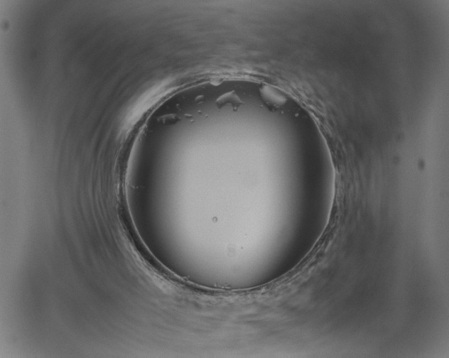 X0000062170005200512161303