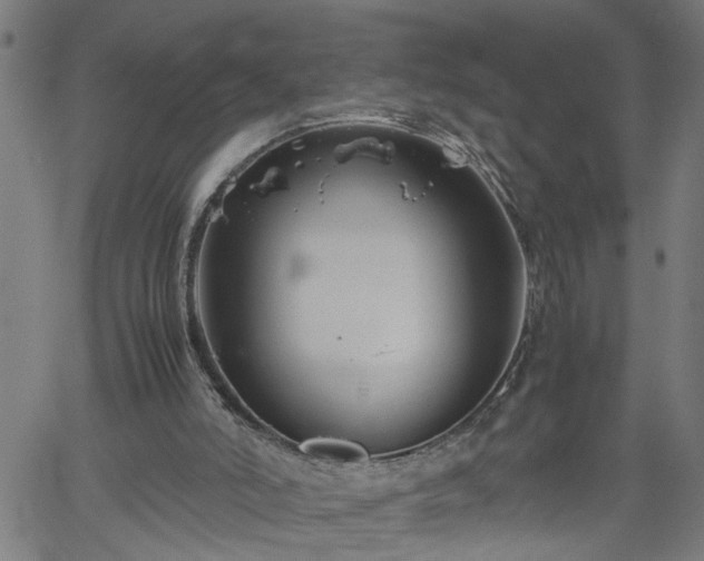 X0000062170006200512161303