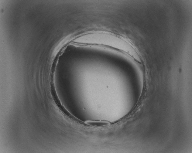 X0000062170007200512161303