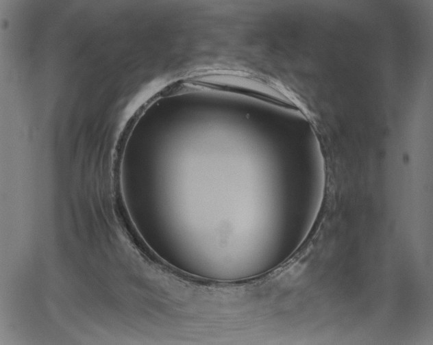 X0000062170008200512161303