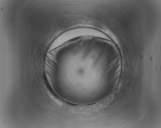 X0000062170009200512161303