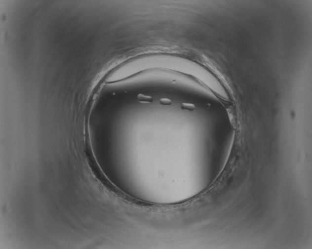 X0000062170011200512161303