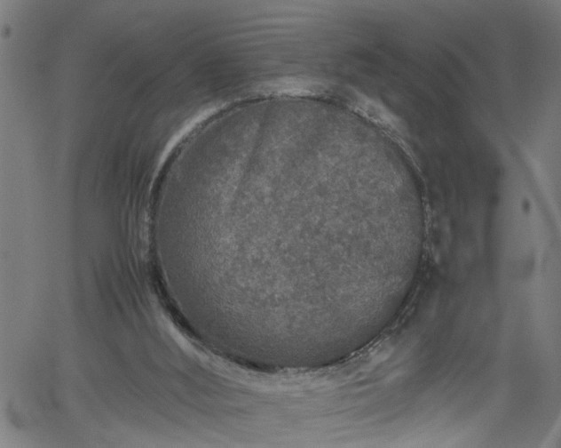 X0000062170012200512161303