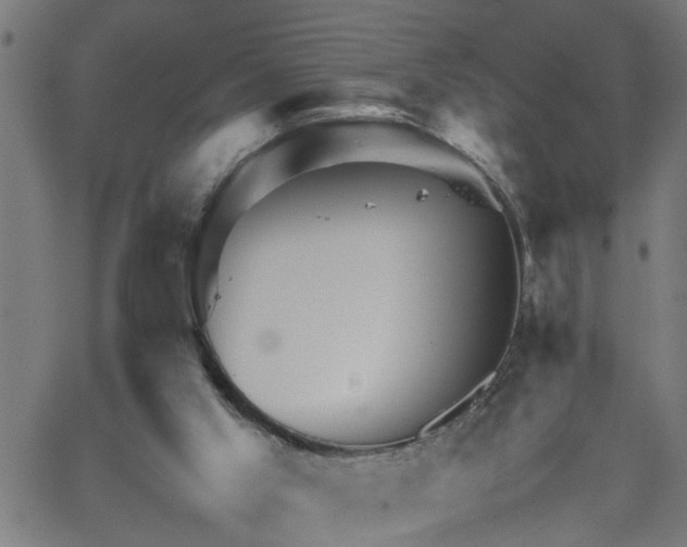 X0000062170013200512161303