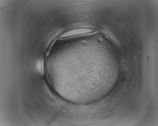 X0000062170014200512161302