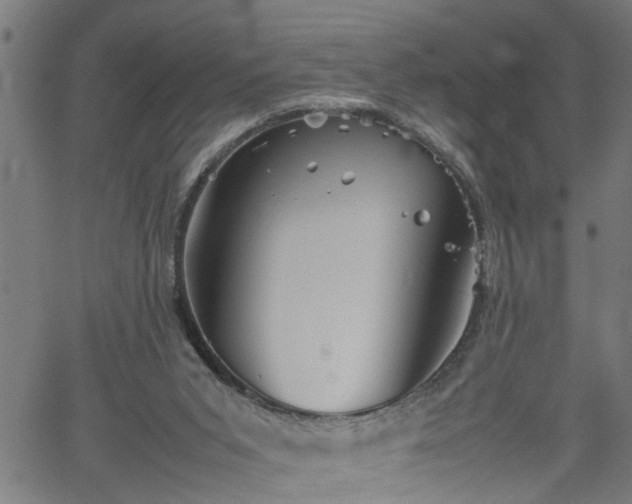 X0000062170015200512161302