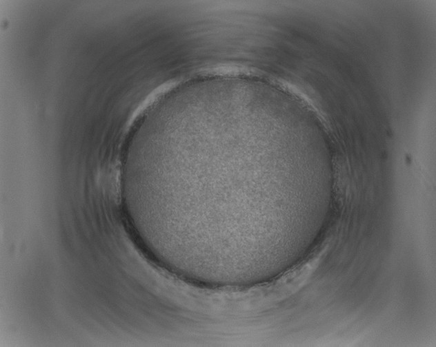 X0000062170016200512161302