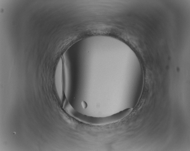 X0000062170017200512161302