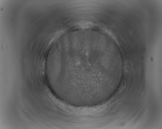 X0000062170018200512161302