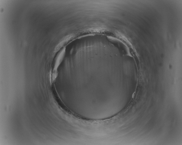 X0000062170019200512161302