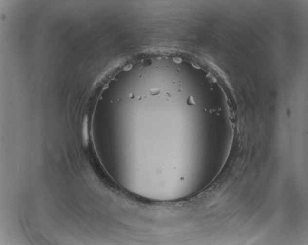 X0000062170020200512161302