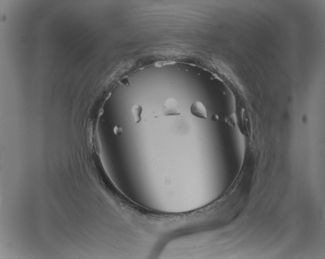 X0000062170021200512161302