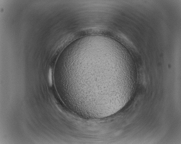 X0000062170022200512161302