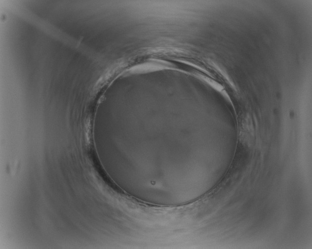 X0000062170023200512161302