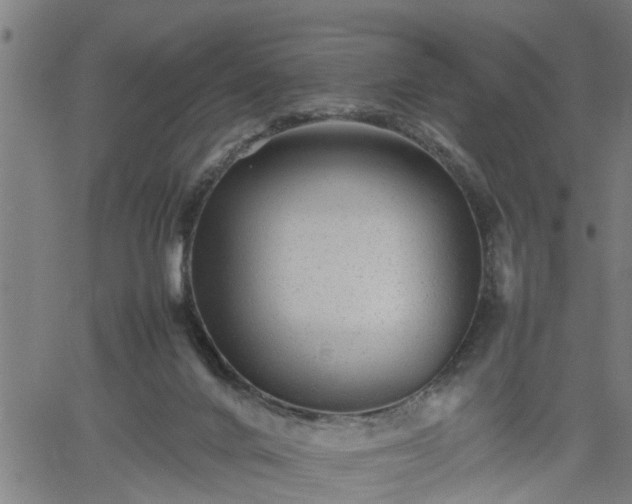 X0000062170024200512161302