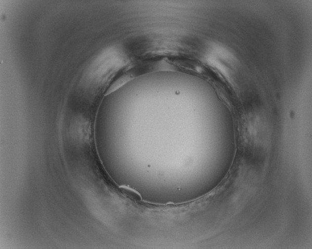 X0000062170025200512161302