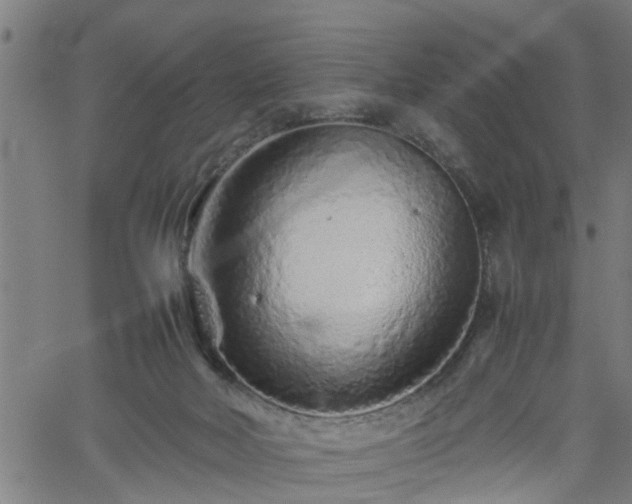 X0000062170026200512161302