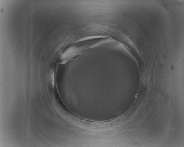 X0000062170027200512161302