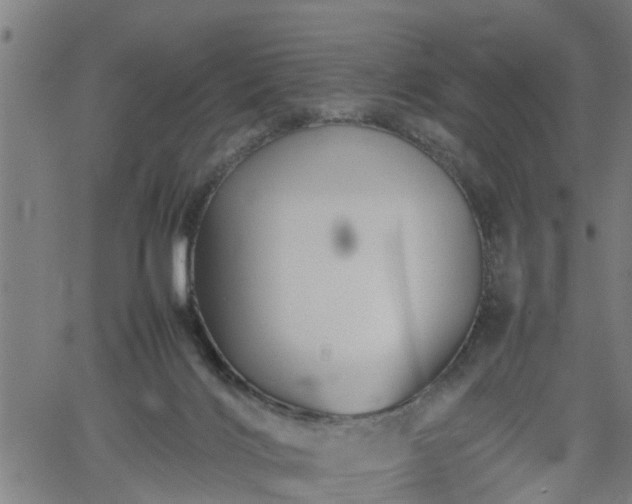 X0000062170028200512161302