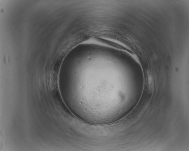 X0000062170030200512161302