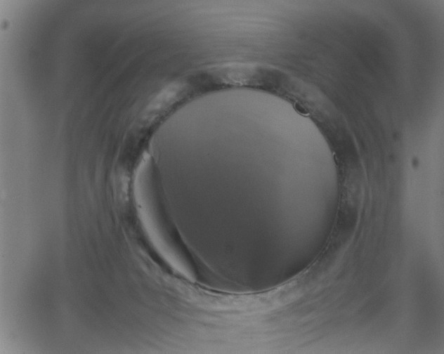 X0000062170031200512161302