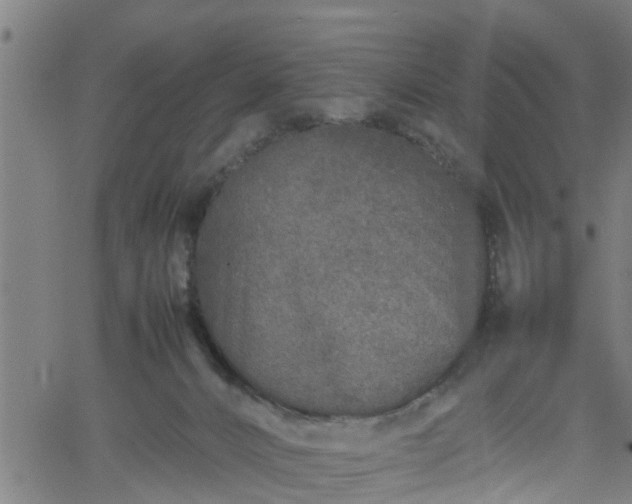 X0000062170032200512161302