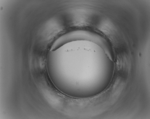 X0000062170033200512161302