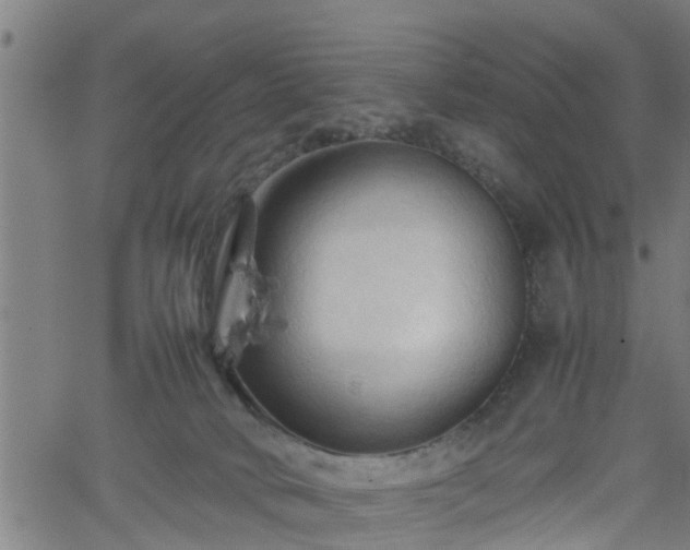 X0000062170034200512161302