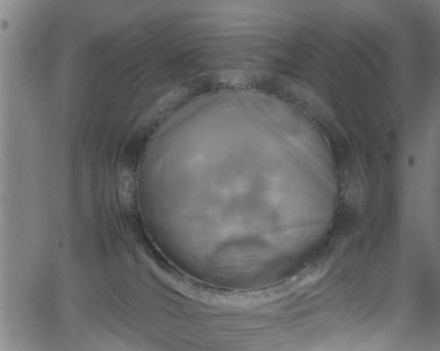 X0000062170036200512161302