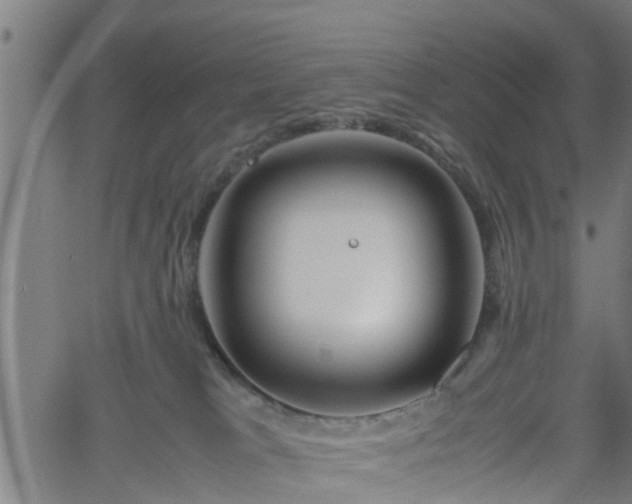 X0000062170037200512161302