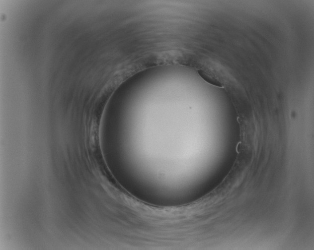 X0000062170038200512161302