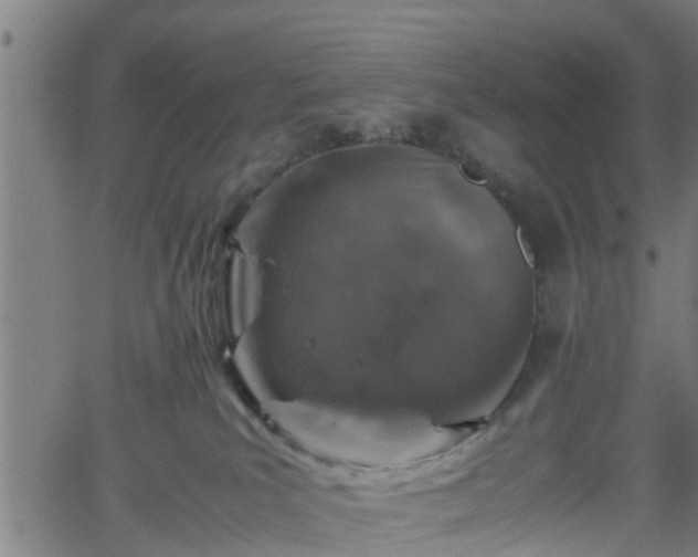 X0000062170039200512161302