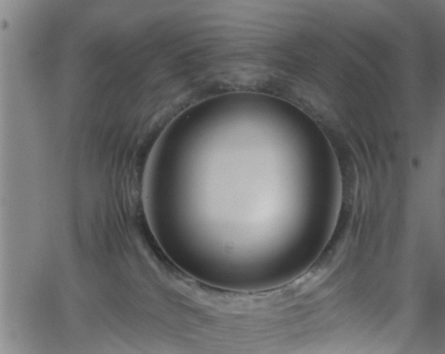 X0000062170040200512161302