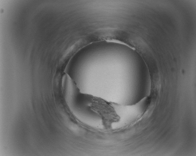 X0000062170041200512161302