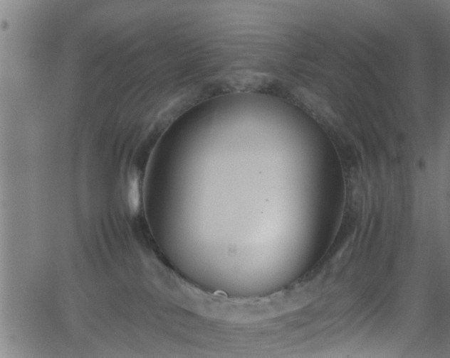 X0000062170042200512161302