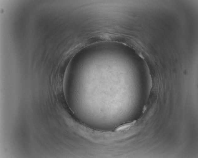 X0000062170043200512161302