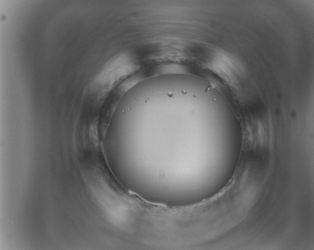 X0000062170045200512161302