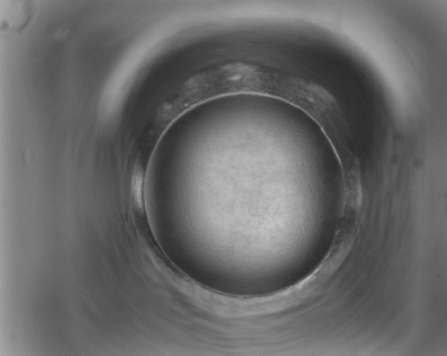 X0000062170047200512161302