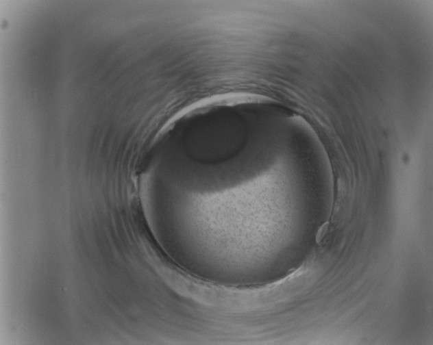 X0000062170048200512161302