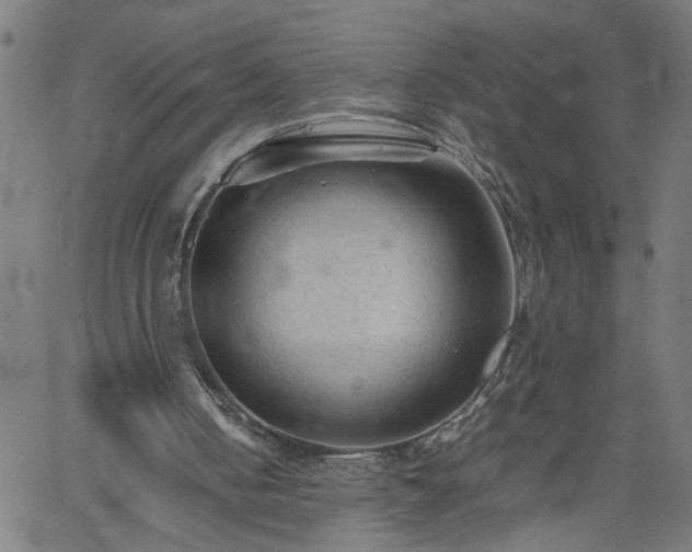 X0000062170050200512161301