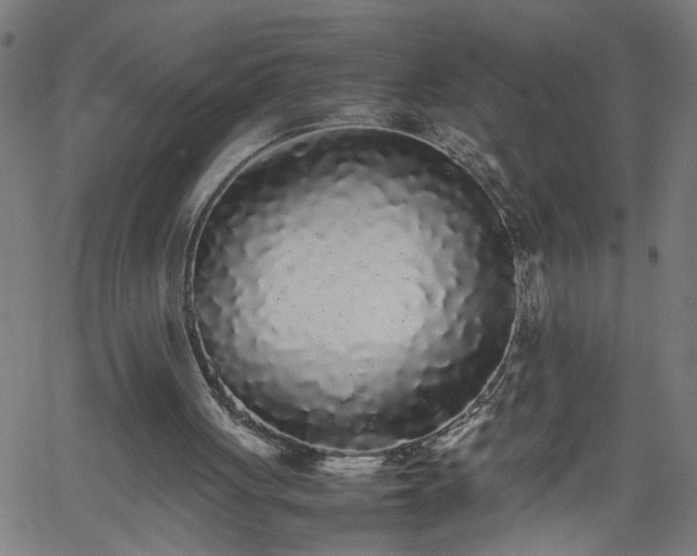 X0000062170051200512161301