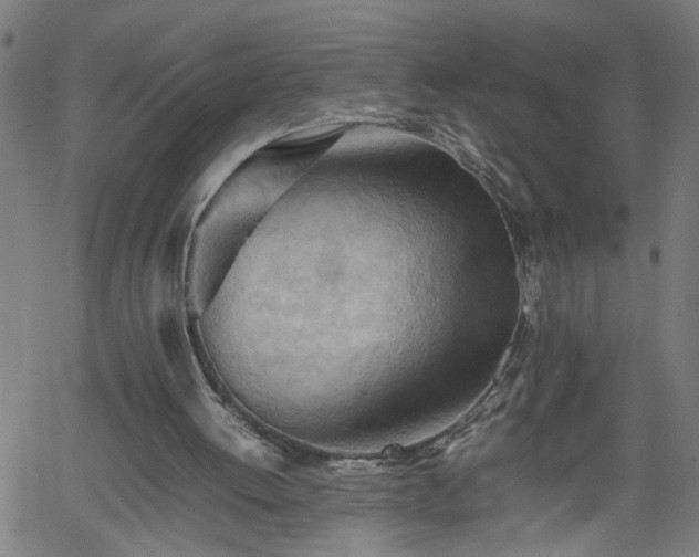 X0000062170052200512161301