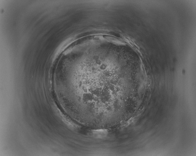 X0000062170053200512161301